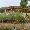 Rancho Laguna Park gift card