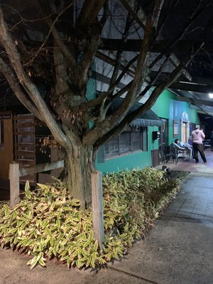 Fairview Tavern by null