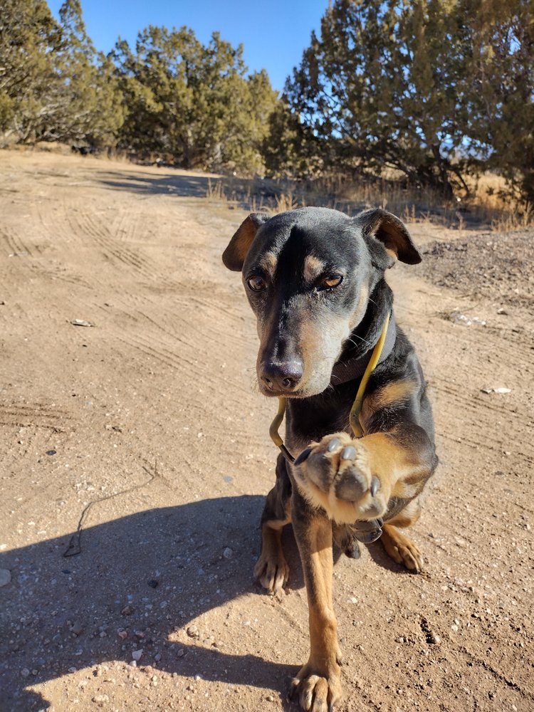 Slide of El Retiro Landscaping