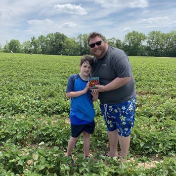 Spencer Farm - Strawberry picking - Pick Your Own Farms Near Me - Noblesville, Indiana Spencer Farm - Strawberry picking - Pick Your Own Farms Near Me - Noblesville, Indiana