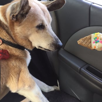 Petco - Ice cream cone cookie! Yum yum. - Pet Stores Near Me - Tustin, California Petco - Ice cream cone cookie! Yum yum. - Pet Stores Near Me - Tustin, California