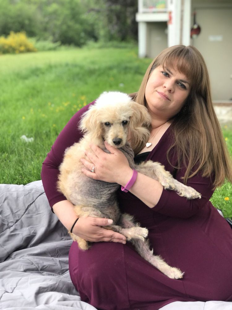 LOVING CARE PET CLINIC 24 Reviews 21114 Meridian Ave E, Graham