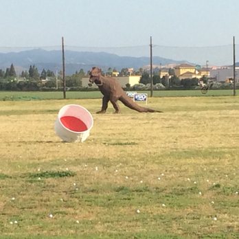 Garlic Country Golf Range - Golf Near Me - Gilroy, California