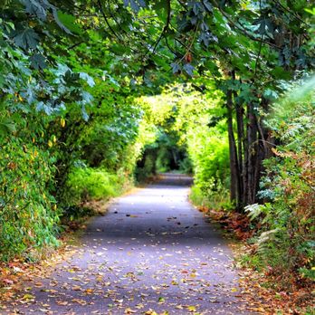 Discover E-Bike - Bike Rentals Near Me - Port Angeles, Washington Discover E-Bike - Bike Rentals Near Me - Port Angeles, Washington