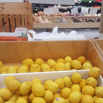 91 Farmers Market - Lemons ! - Farmers Market Near Me - Brick, New Jersey 91 Farmers Market - Lemons ! - Farmers Market Near Me - Brick, New Jersey