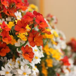 La Caliera - I colori della Caliera