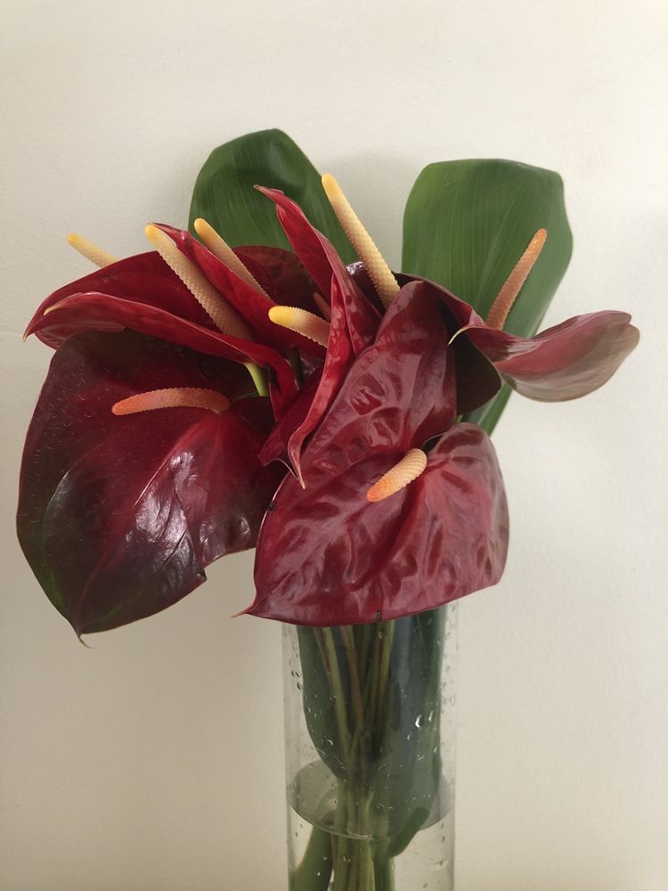 FLOWERS BY TETSU 841 St, Honolulu, Hawaii Florists Yelp