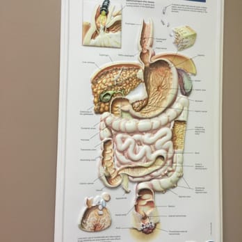 Midwest Gastroenterology - Shows diseases~boo to diseases! - Gastroenterologist Near Me - Burbank, Illinois Midwest Gastroenterology - Shows diseases~boo to diseases! - Gastroenterologist Near Me - Burbank, Illinois