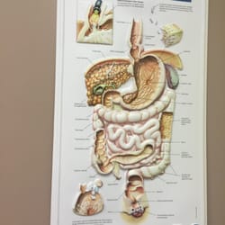 Midwest Gastroenterology - Shows diseases~boo to diseases!