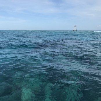 Bluewater Divers - Boat Charters Near Me - Key Largo, Florida Bluewater Divers - Boat Charters Near Me - Key Largo, Florida