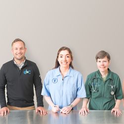 Dog & Cat Clinic - Left to Right, Our Veterinarians: Dr. Scott, Dr. Miller, Dr. Gilbert, Dr. Louk, and Dr. Longhofer