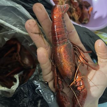 Twisted Tails Crawfish - Seafood Near Me - McKinney, Texas