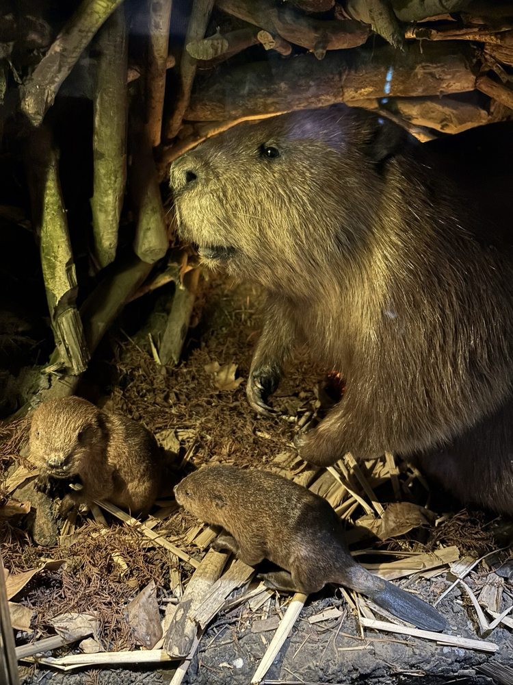 Social spots from Mississippi Museum of Natural Science