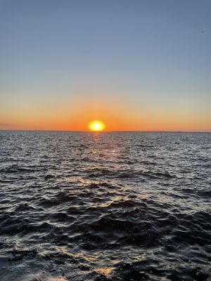 Fire Island by null