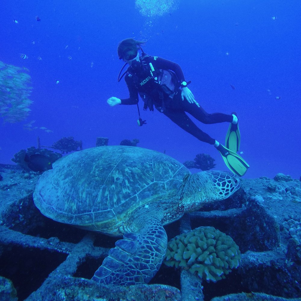 Oahu Diving - Scuba Diving Near Me - Honolulu, Hawaii