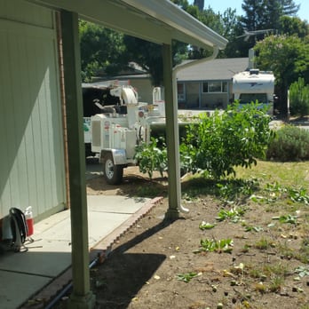 Gastelum Tree Service - Tree Services Near Me - Dixon, California