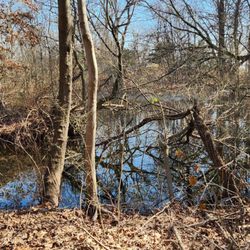 Connecticut Audubon Birdcraft Museum