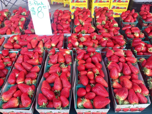 The Market On Kern by null