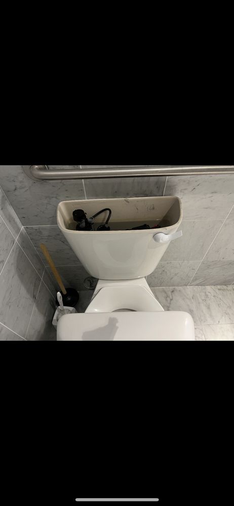 Slide of Green Apple Mechanical