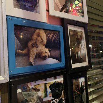 Chuy's - Cute dog pictures on the wall! Bring in a dog picture for a free appetizer! - Tex-Mex Near Me - Noblesville, Indiana
