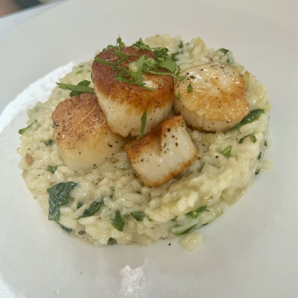Pan Seared Scallops with Spinach Risotto Pan Seared Scallops with Spinach Risotto