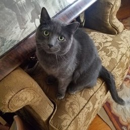 My sweetie, Charlie My sweetie, Charlie