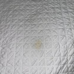Surfside Condominiums - Stains on the bed