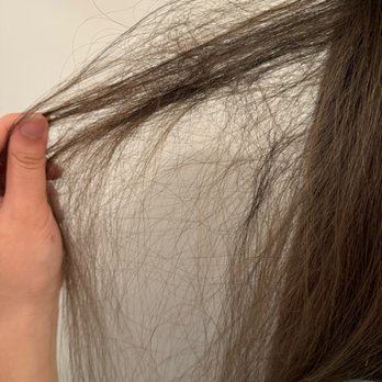 Yeye Beauty Salon - Also very tangled and damaged dry hair after washing by myself - Hair Salons Near Me - Sunnyvale, California Yeye Beauty Salon - Also very tangled and damaged dry hair after washing by myself - Hair Salons Near Me - Sunnyvale, California