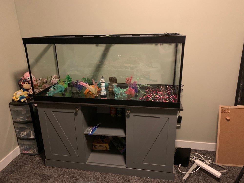 PETSMART Updated September 2024 32 Reviews 11694 Sarcee Trail Nw