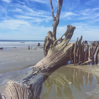 Botany Bay Plantation - Great textures and photography opportunities. - Parks Near Me - Edisto Island, South Carolina