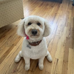 Bella Bella