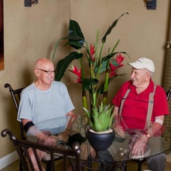 Halcyon Hospice