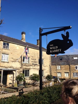 The Wild Rabbit by null