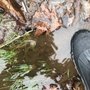 Photo of Accurate Well and Pump