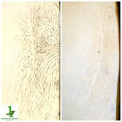 New Leaf Electrolysis