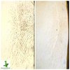New Leaf Electrolysis gift card