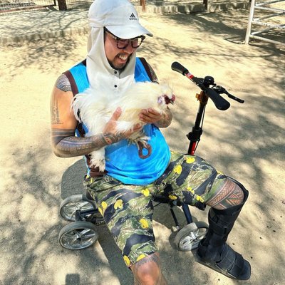 The Gentle Barn by null