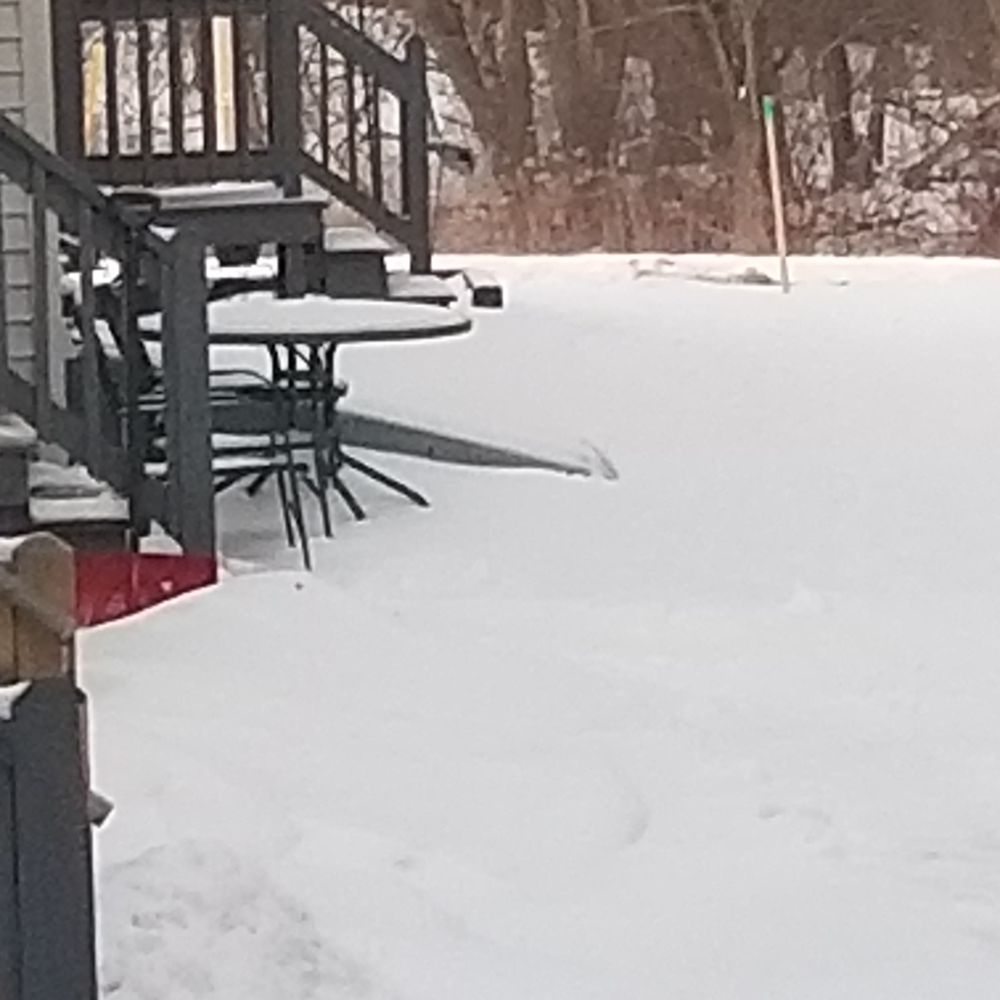 ULSTER PROPERTY SERVICES Updated August 2024 27 Photos 4 Tamarack