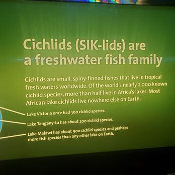 Shedd Aquarium - My favorites - Aquariums Near Me - Chicago, Illinois