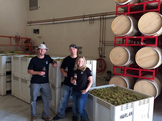 Brian Arden Wines by null
