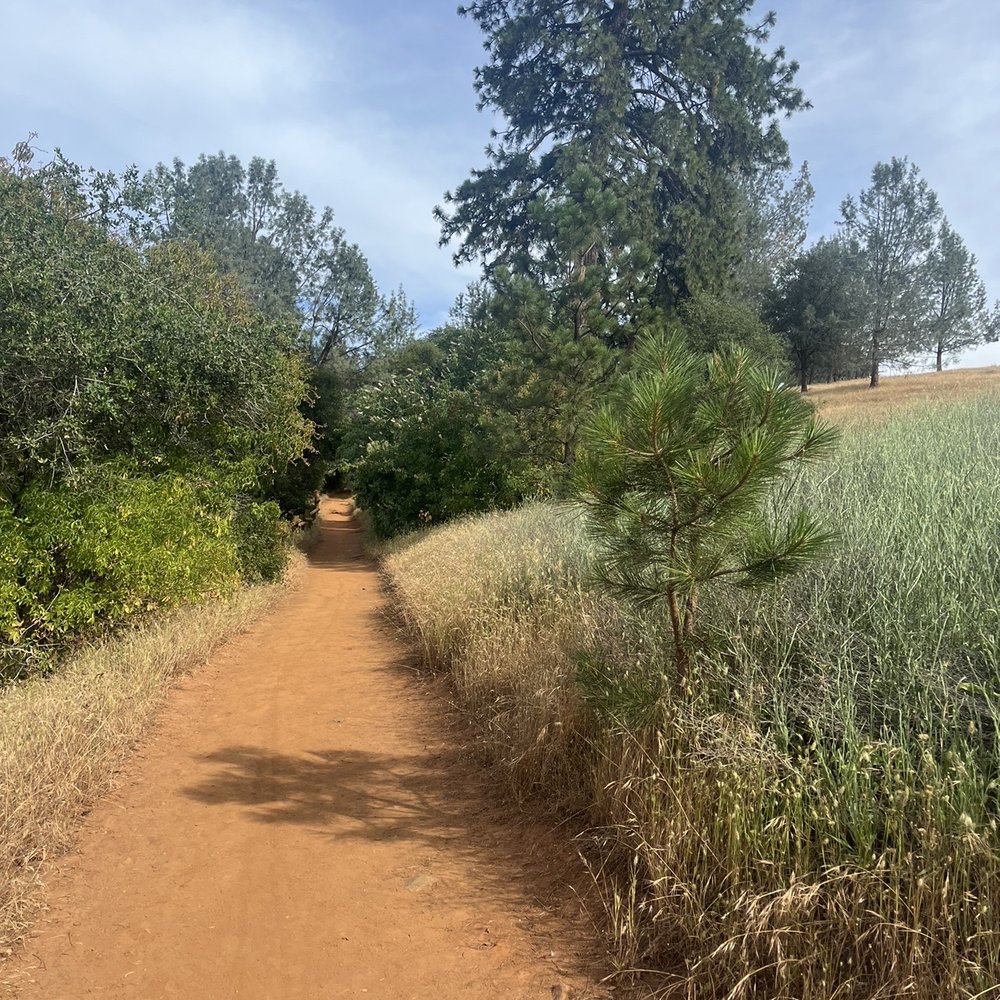 Hidden Falls Regional Park - Starting the trail - Parks Near Me - Auburn, California Hidden Falls Regional Park - Starting the trail - Parks Near Me - Auburn, California