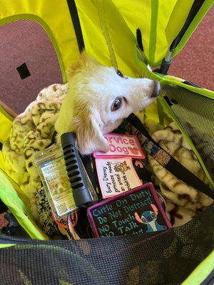 Country Touch Cafe - Breakfast • Lunch • Brunch by null