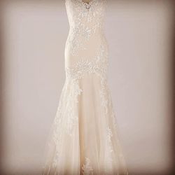 TLC Bridal & Formal