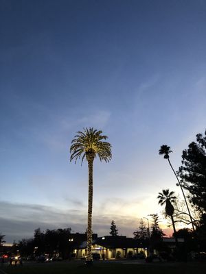 Sonoma Plaza by null