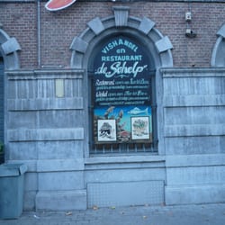 De Schelp
