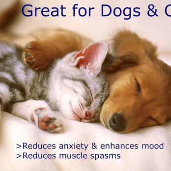 Canna Relief - We can help your pets feel better. - Medical Cannabis Referrals Near Me - Mississauga, Ontario Canna Relief - We can help your pets feel better. - Medical Cannabis Referrals Near Me - Mississauga, Ontario
