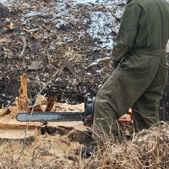 LT Tree Service - Tree Services Near Me LT Tree Service - Tree Services Near Me