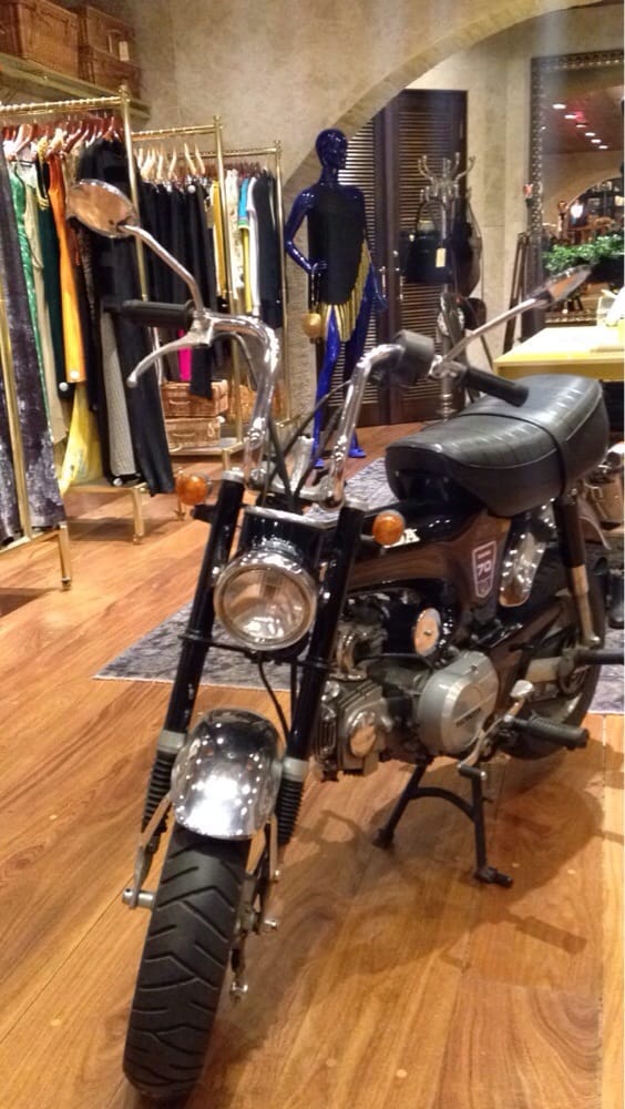 Gato Bravo Vintage Shop