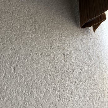 Ramkota Hotel - Casper - Questionable dead bug stain near window. - Hotels Near Me - Casper, Wyoming