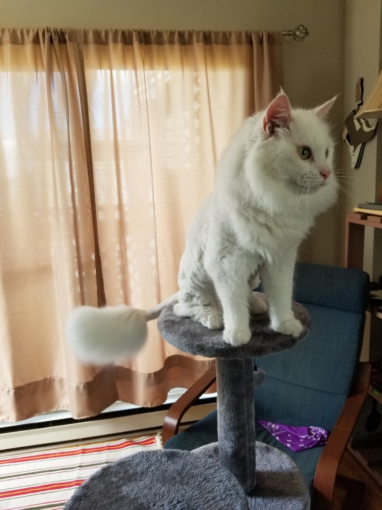 KITTY KUTZ Updated September 2024 3588 Barrington Street, Halifax